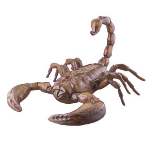 CRAWLERS
